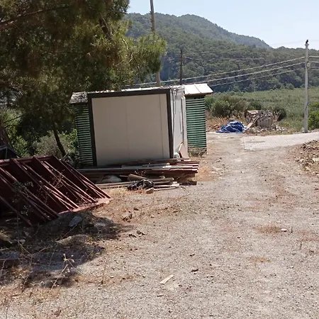 Mai * סאריגרמה